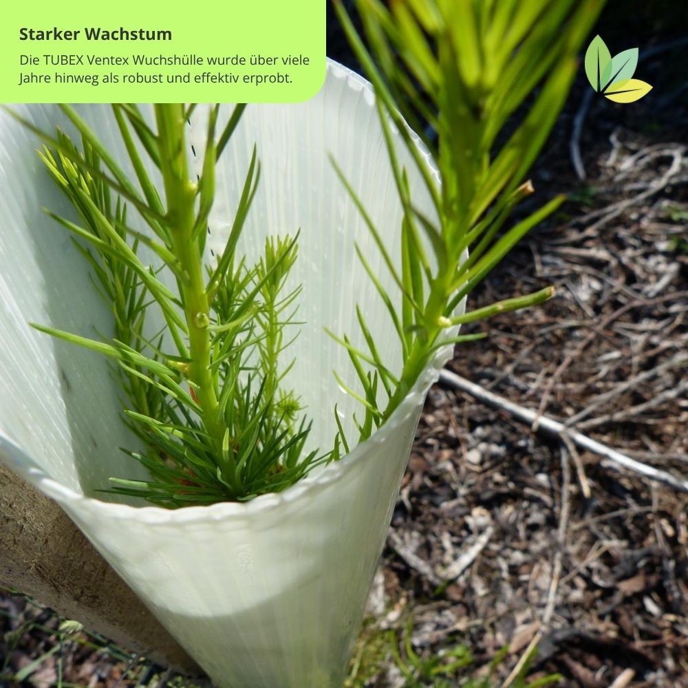 Starkes Wachstum dank langjährigen Schutz