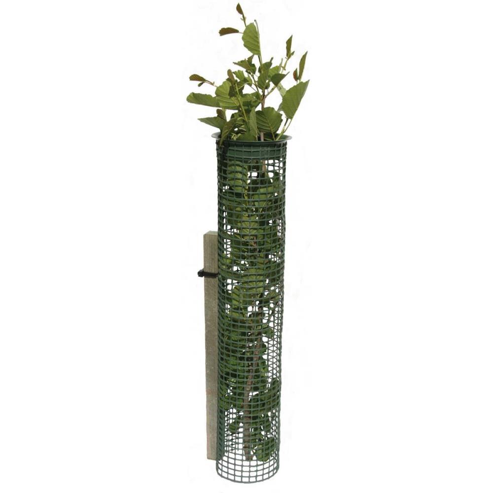 TUBEX Treeguard Baumschutz-Gitter-Röhre, Ø 80-110mm TUBEX Treeguard Baumschutz-Gitter-Röhre im Schneefeld zum Verbissschutz