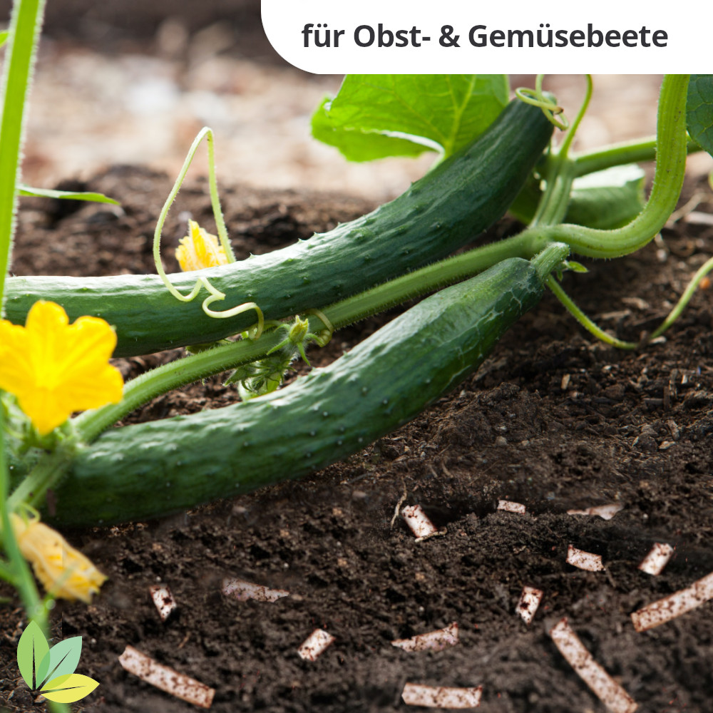 TerraSponge Wasserspeichervlies, Bewässerungsvlies-Streifen geeignet für Obst- & Gemüsebeete