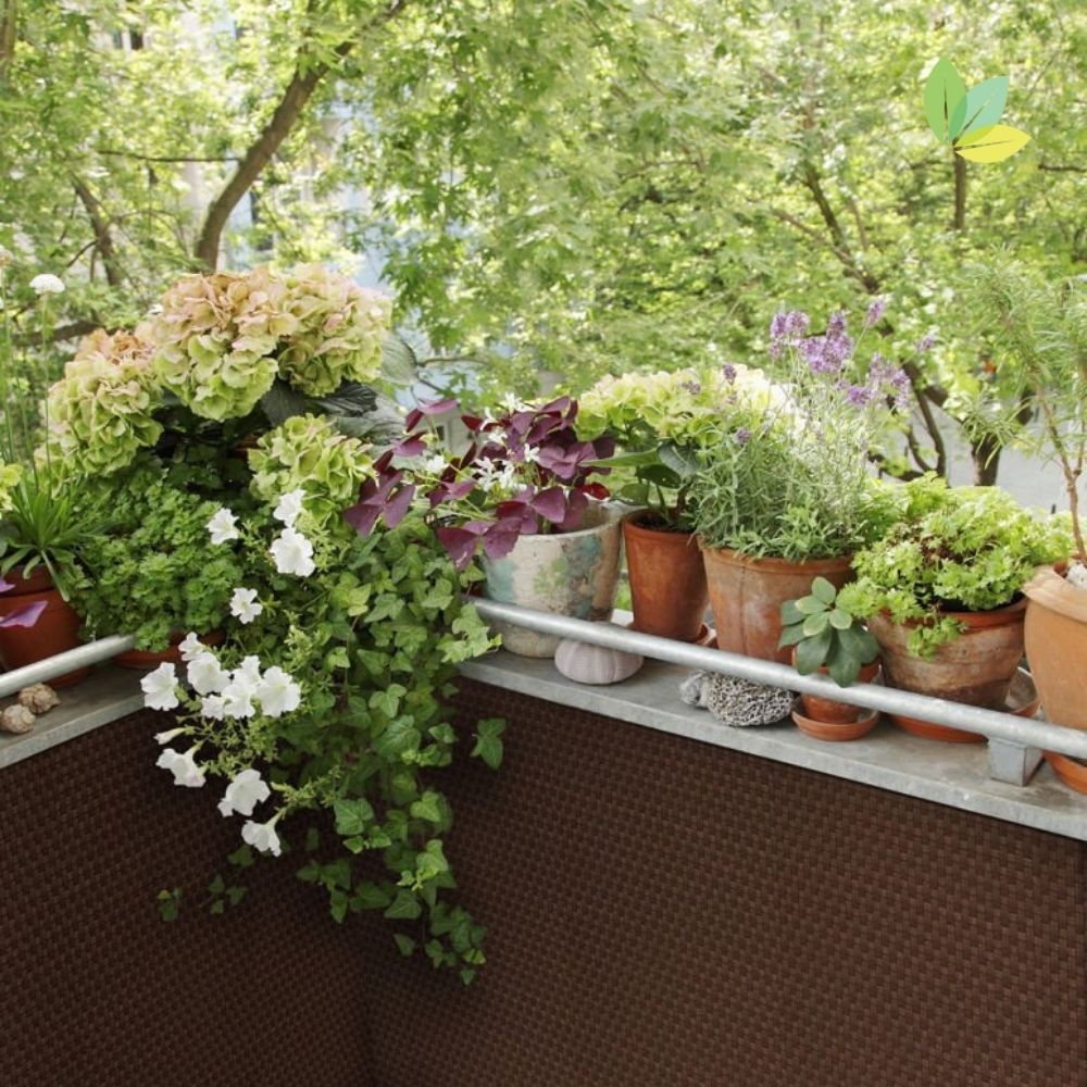 Dunkelbraune Rattan Verkleidung auf bepflanzten Balkon