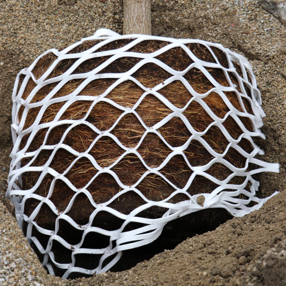 TerraSponge Wasserspeichervlies als Bewässerungsnetz für Bäume