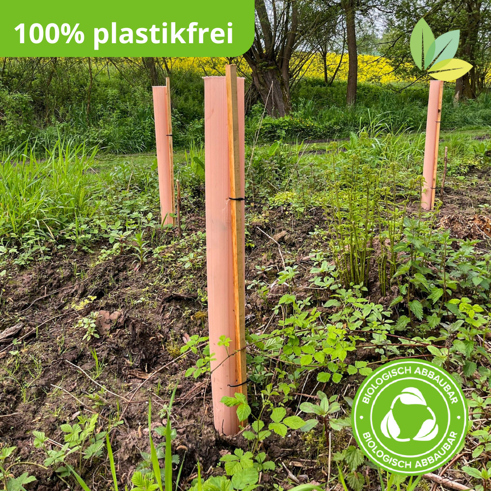 TUBEX Nature Wuchshüllen, biologisch abbaubar, 1,5m, Ø 80-120mm