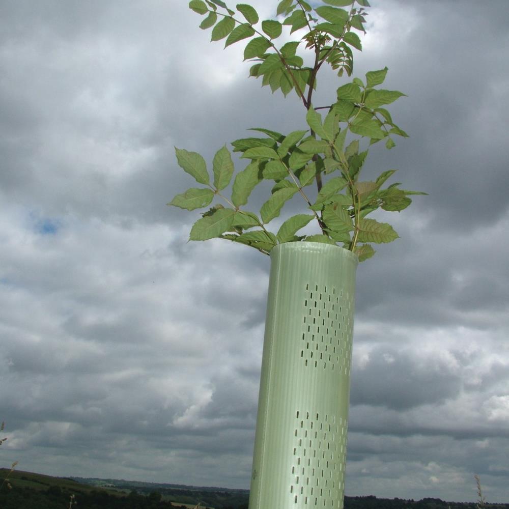 am Bäumchen angebrachte TUBEX Combitube Plus
