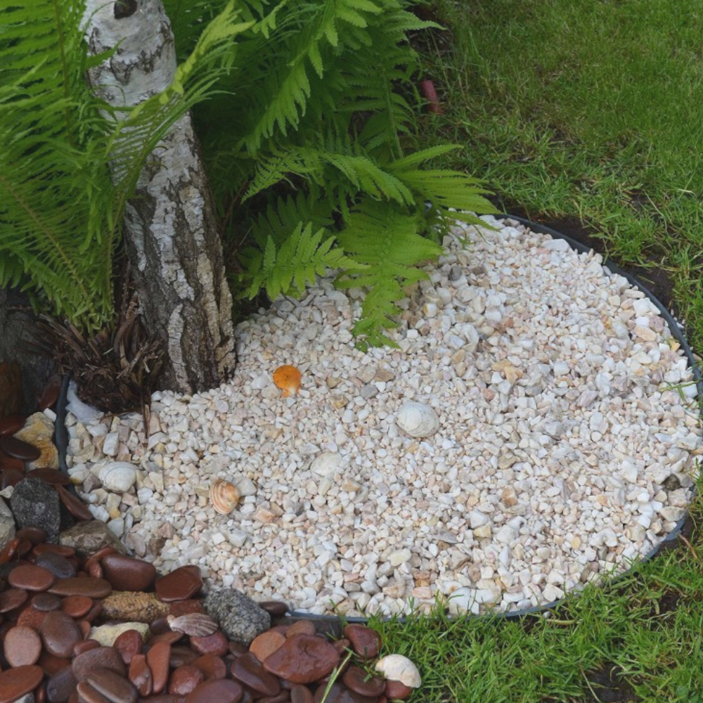 weißer Kieskreis durch Rasenkante eingerahmt mit Birke und Busch in der Mitte in Wiese