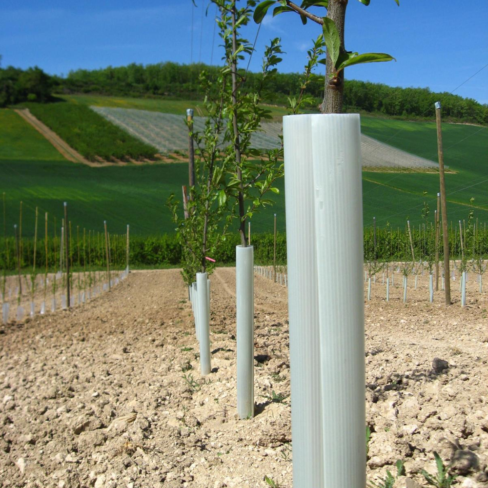 TUBEX Fruitwrap Schutzhülle auf sonnigem Feld