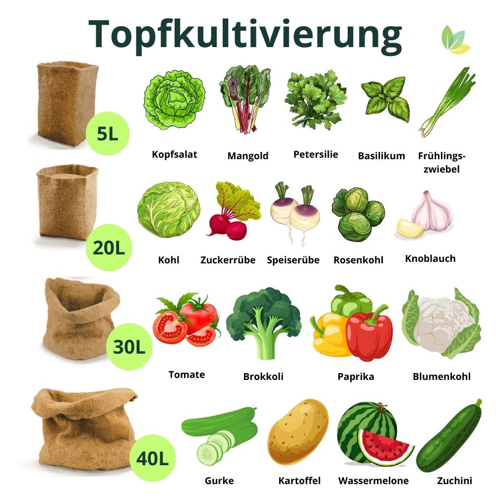 Grafik zur Topfkultivierung: verschiedene Größen für verschiedene Gemüsesorten