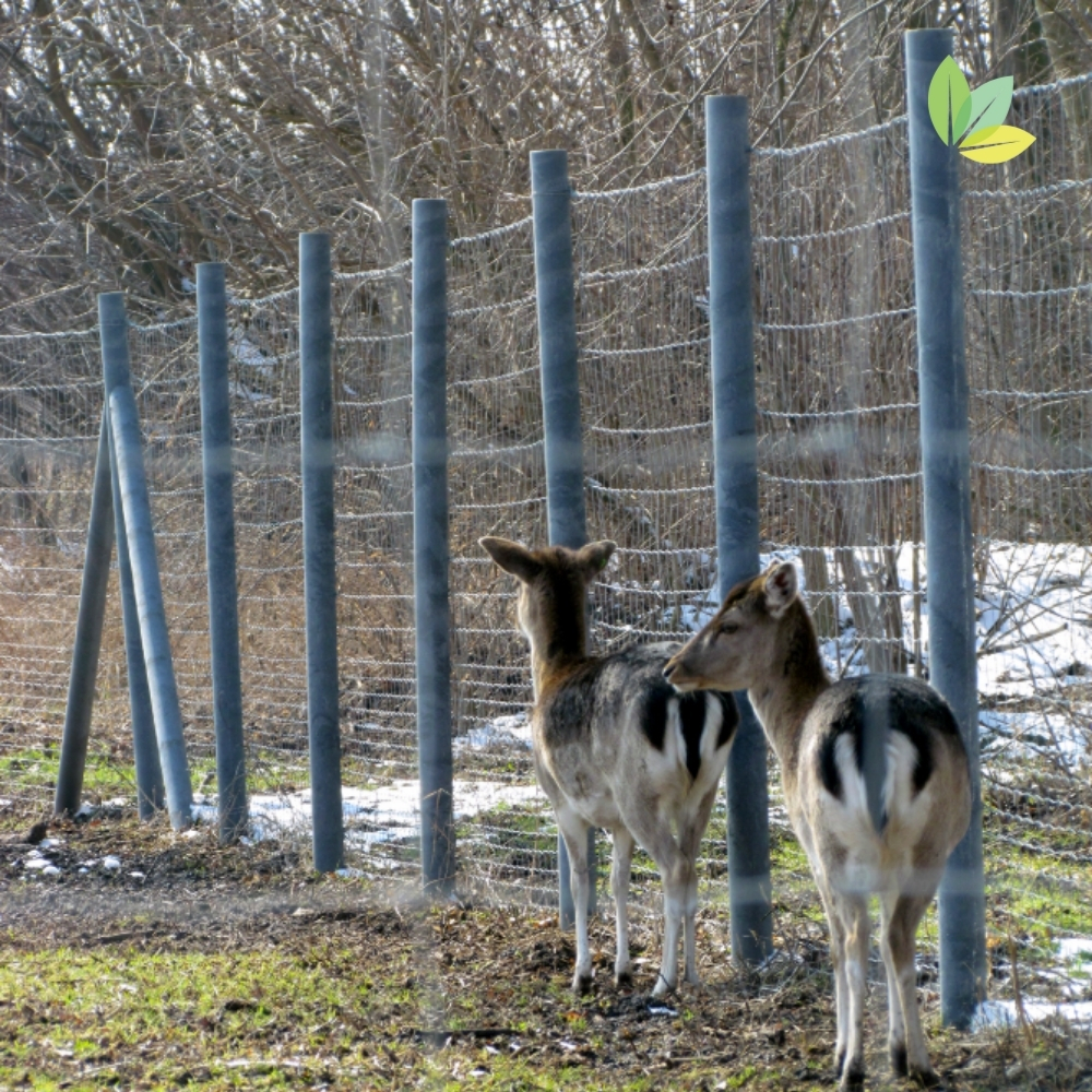 Zaunpfähle als Tiergehege