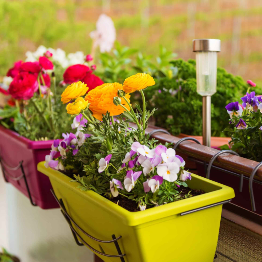 Blumenkastenvlies in bunten Balkonkästen