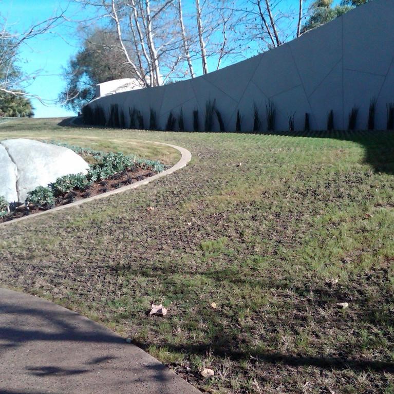 Auffahrt mit gesäten Rasen