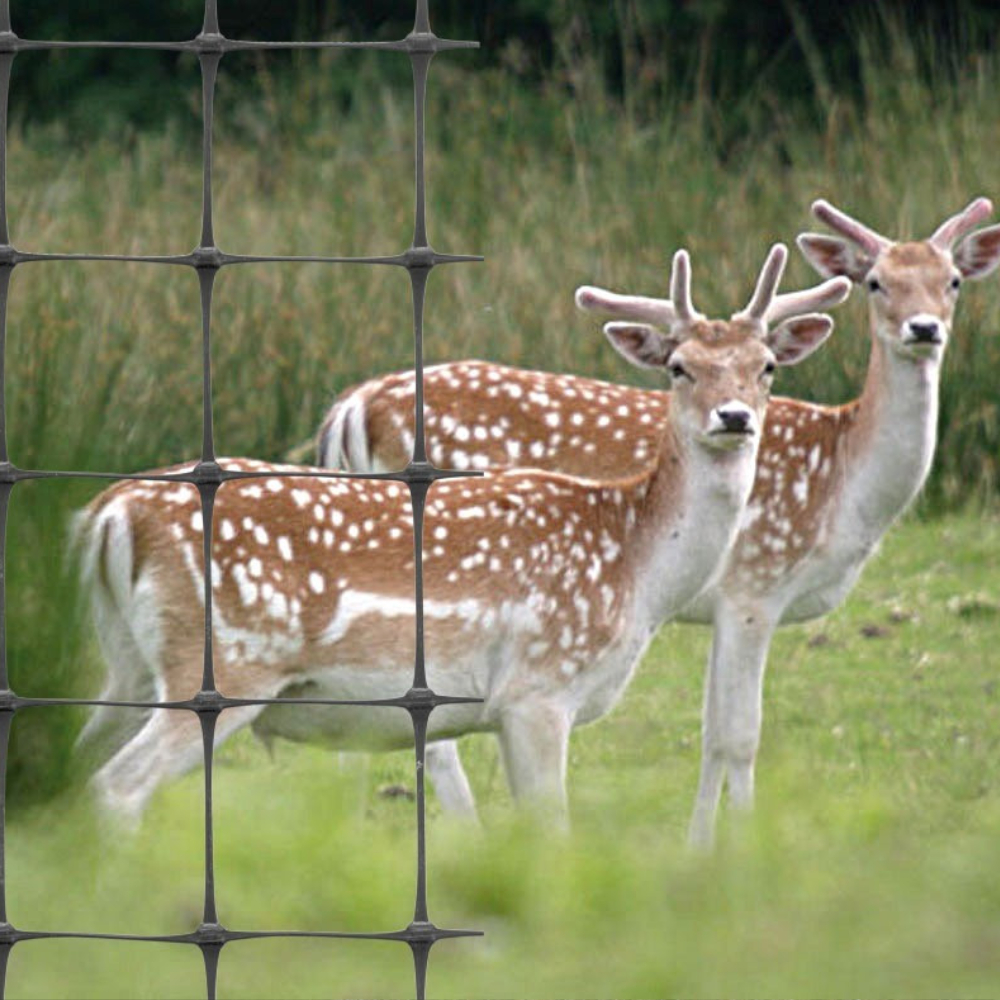 Gartennetz schützt vor Rehen