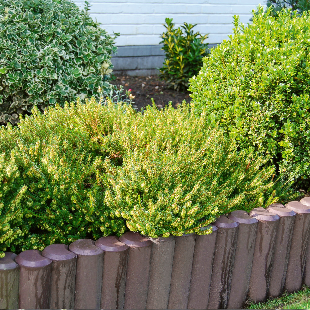 Hohlkehlpalisaden als Beetbegrenzung