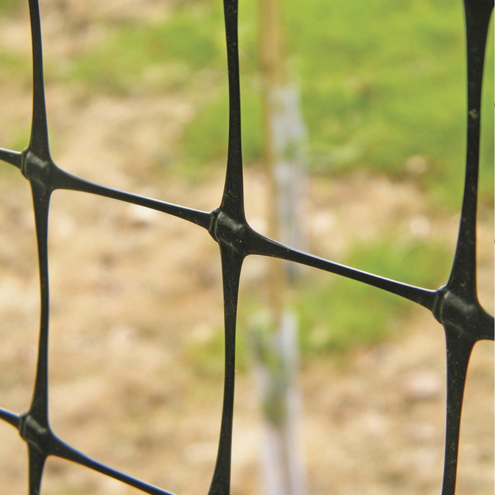 Nahaufnahme von den Maschen (50x50mm) des Gartennetz / Mehrzwecknetz