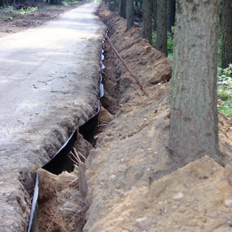 Wurzelsperre entlang einer Alle zum Wurzelschutz