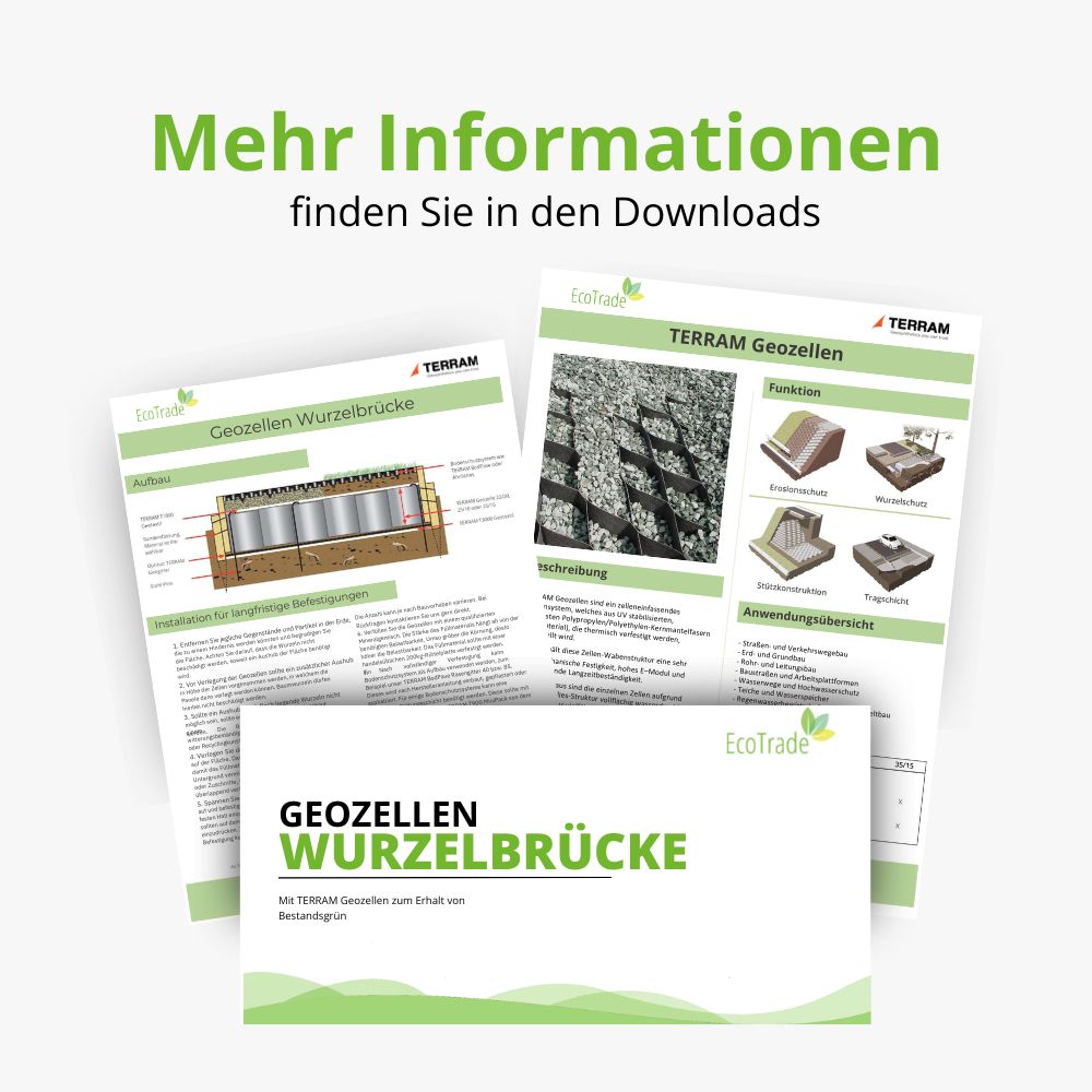 Image zeigt Informationsblätter über Geo-Zellen und Wurzelbrücken mit der Aufforderung, mehr Informationen in den Downloads zu finden.