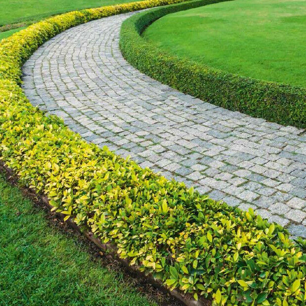 beispielhafter steiniger Weg neben Hecke