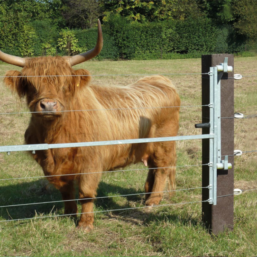 Vierkantpfosten braun Zaunpfosten mit Spitze Zaun Bison