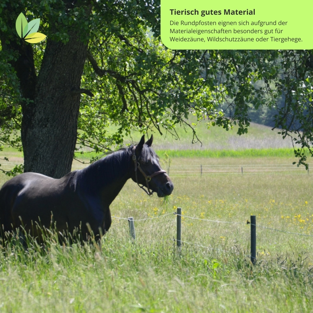 Recyclingpfähle als Weidezäune, Wildschutzzäune oder Tiergehege