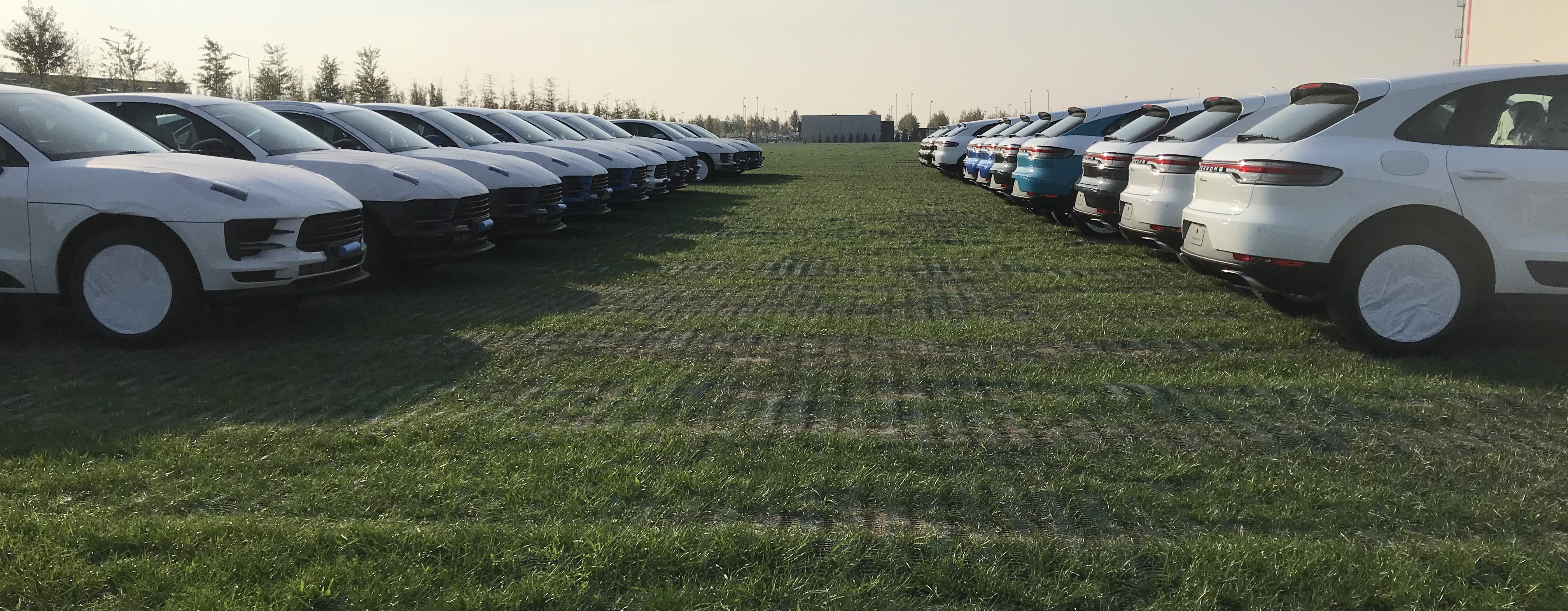 Eine Reihe von weißen SUVs, die auf einer grünen Wiese mit Rasengitter parken.