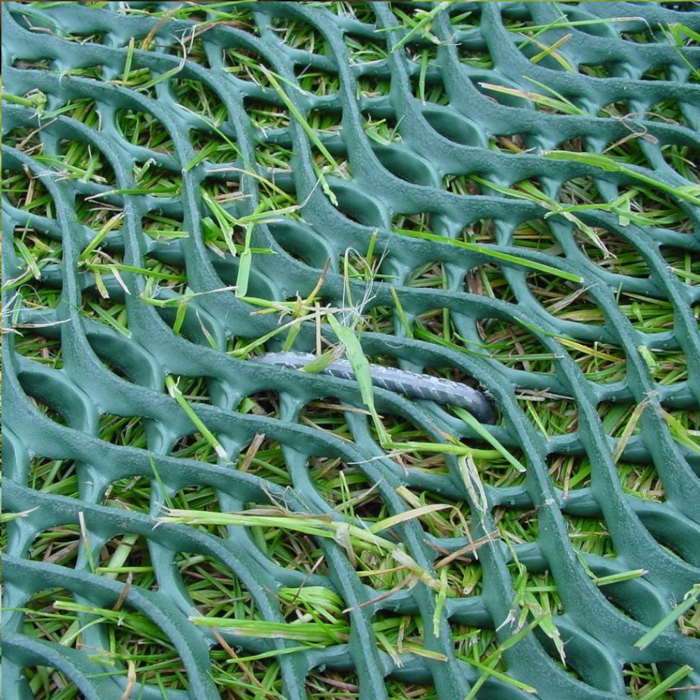 Versinkt vollständig in der GrassProtecta Struktur