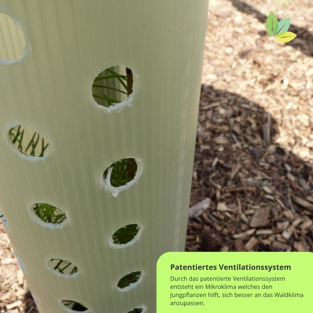 Tubex Ventex reißt an der vorgesehenen Naht auf wenn der Baum groß genug ist