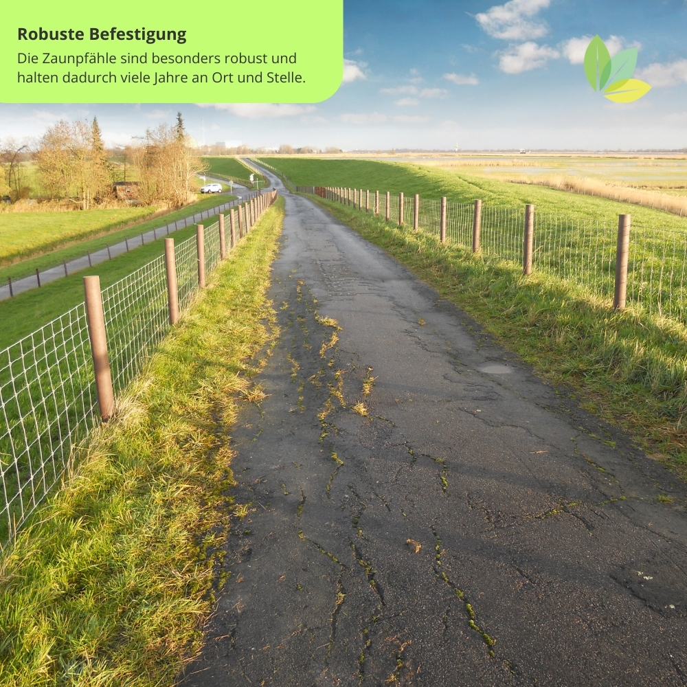 besonders robuste Zaunpfähle
