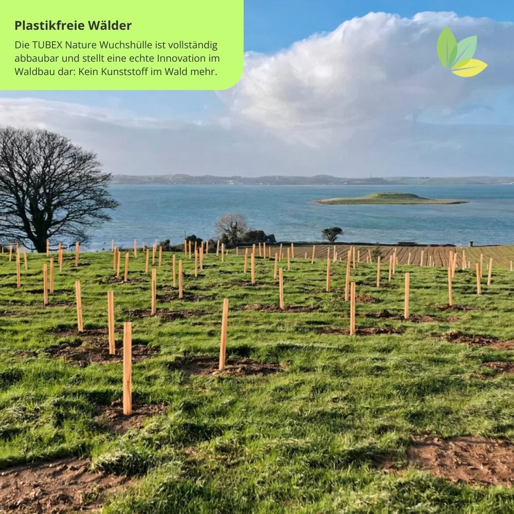 Plastikfreie Wälder: TUBEX Nature sind biologisch abbaubar