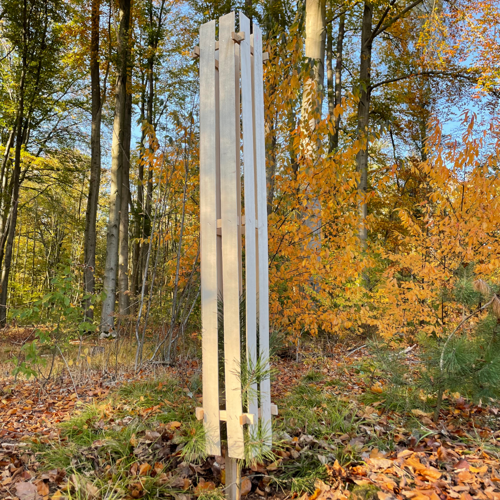 Pure Nature Holz Einzelschutz im Wald