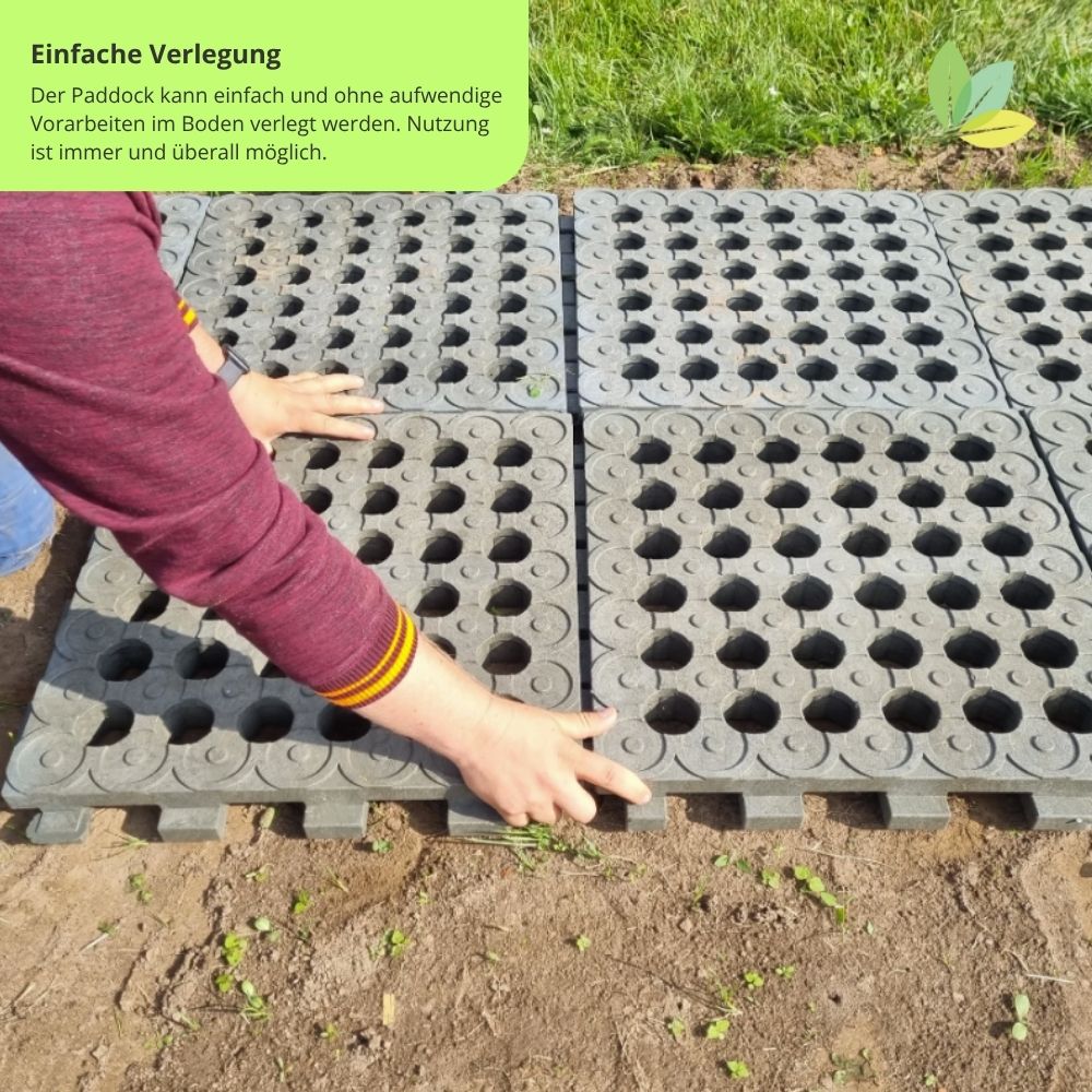 Das Paddock kann dank Klicksystem einfach verlegt werden