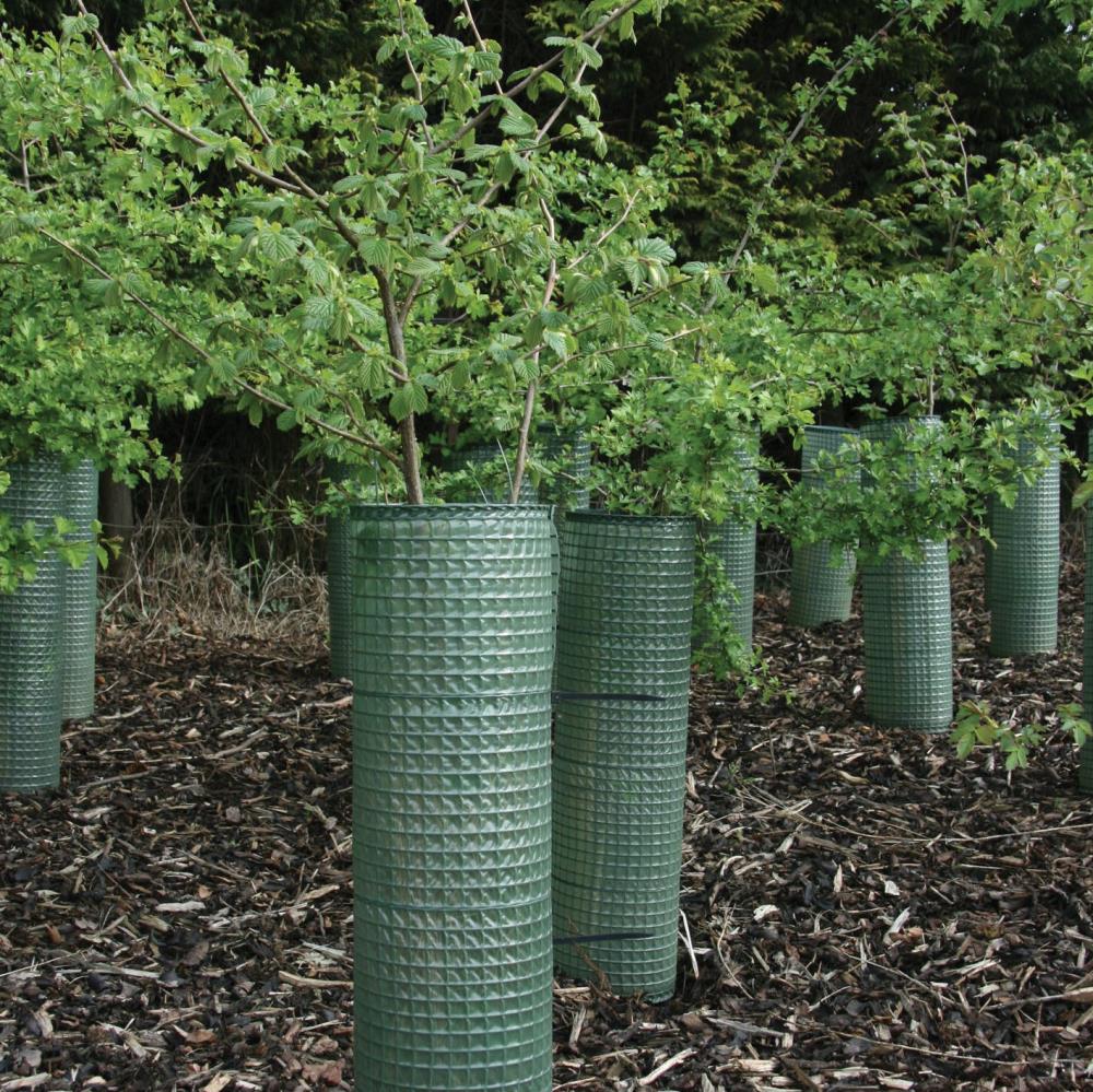 4x Treeguard Baumschutz-Gitter für Sträucher Verbissschutz 60 cm Ø170-200mm 